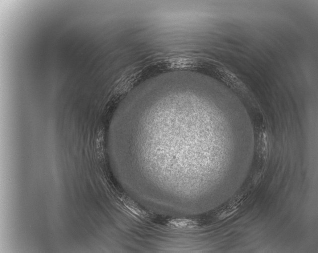 X0000058120557200510071942