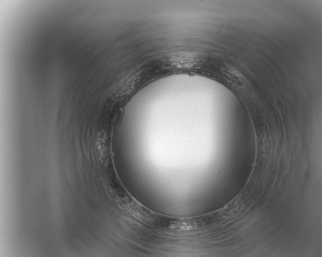 X0000058120559200510071942