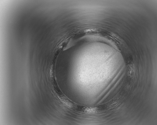 X0000058120560200510071942