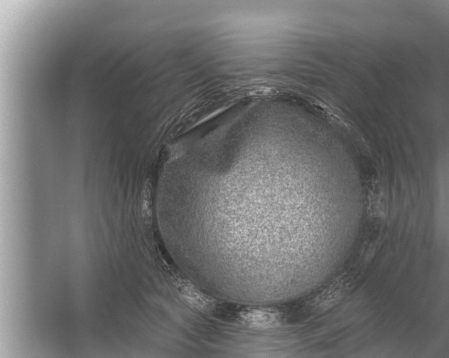 X0000058120561200510071942