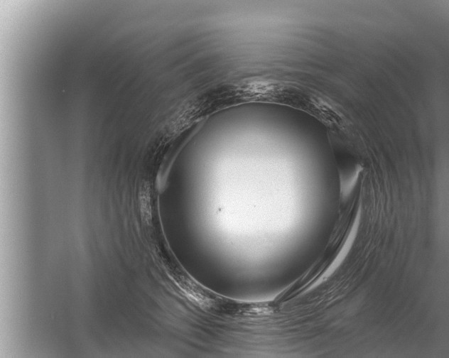 X0000058120562200510071942