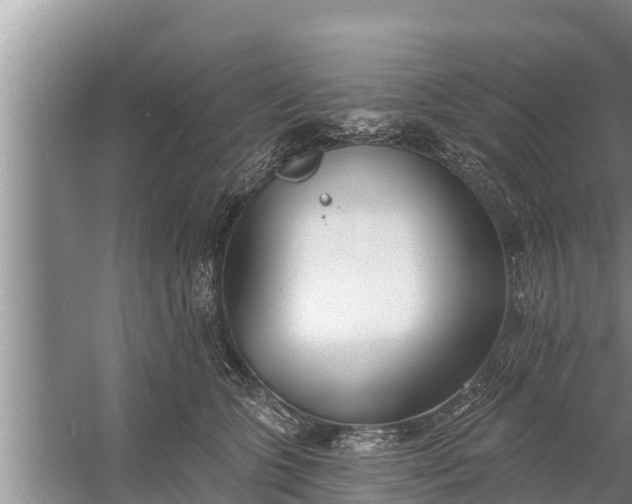 X0000058120563200510071942