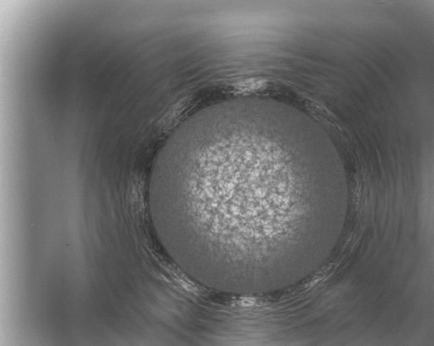 X0000058120565200510071942