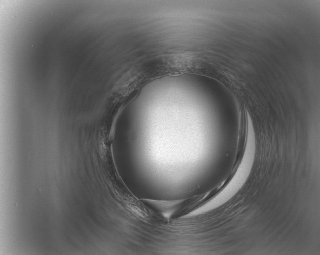 X0000058120566200510071942