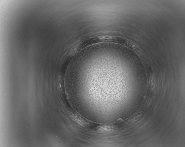 X0000058120567200510071942