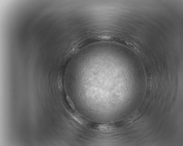 X0000058120568200510071942