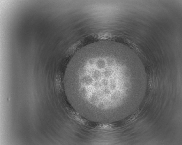 X0000058120569200510071942