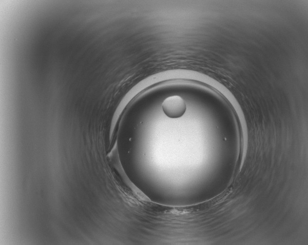 X0000058120570200510071942