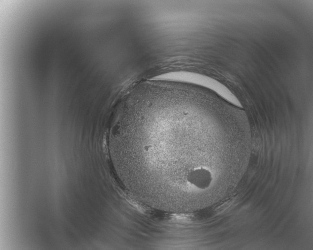 X0000058120573200510071942