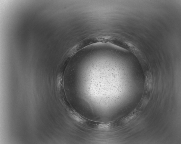 X0000058120574200510071942