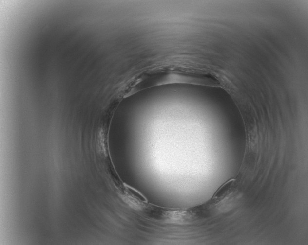 X0000058120575200510071942