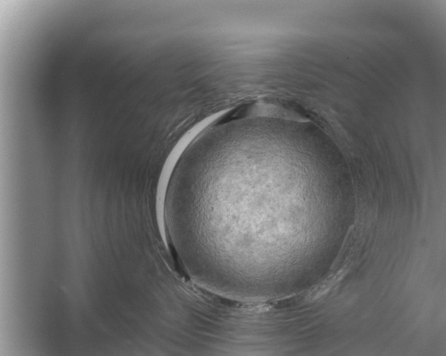 X0000058120576200510071942