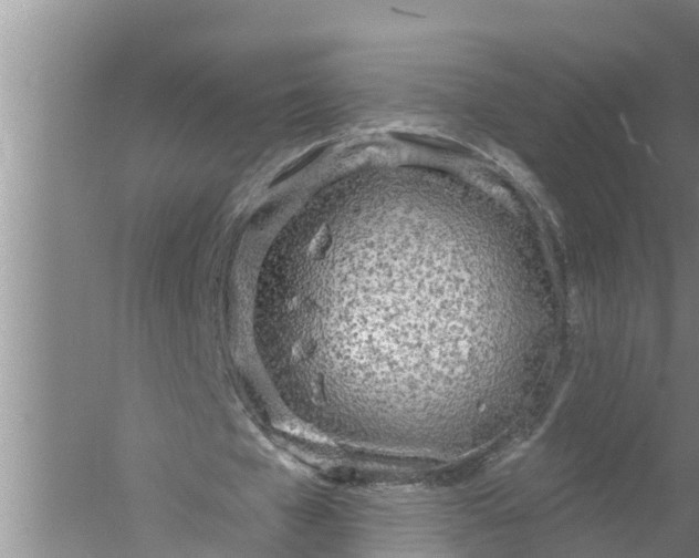 X0000058120577200510071941