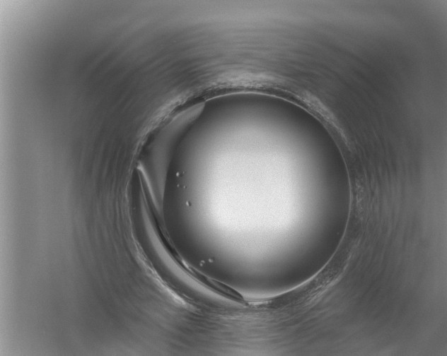 X0000058120581200510071941