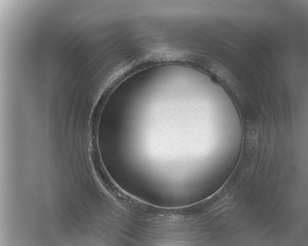 X0000058120582200510071941