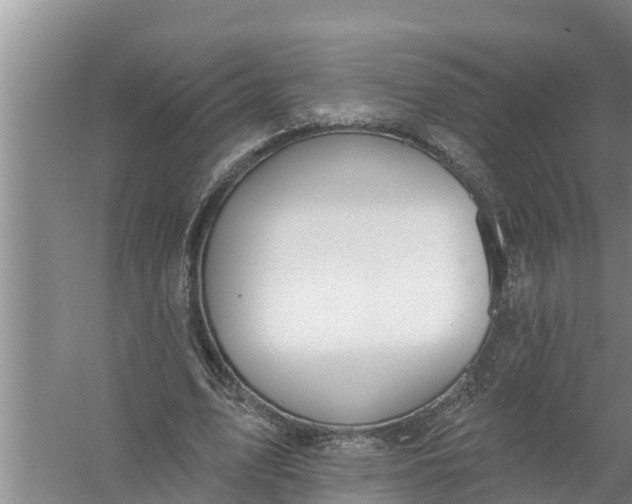 X0000058120583200510071941