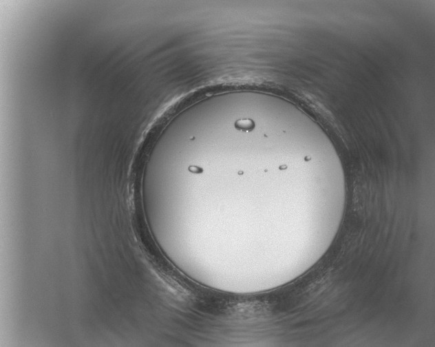 X0000058120584200510071941