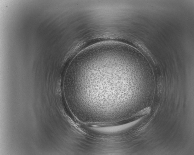 X0000058120585200510071941