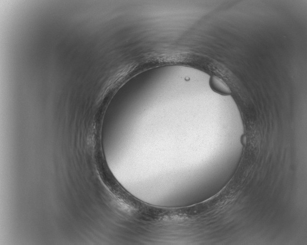 X0000058120586200510071941