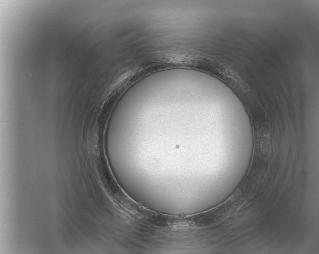 X0000058120587200510071941