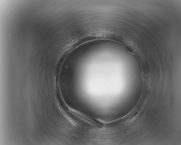 X0000058120589200510071941