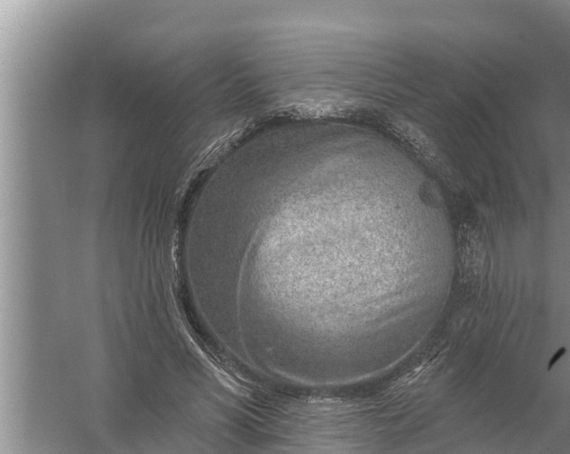 X0000058120590200510071941