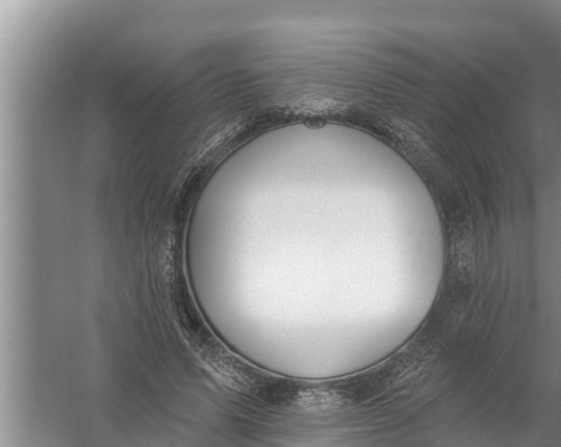 X0000058120591200510071941