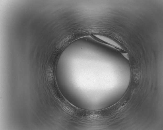 X0000058120593200510071941