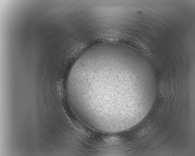 X0000058120594200510071941