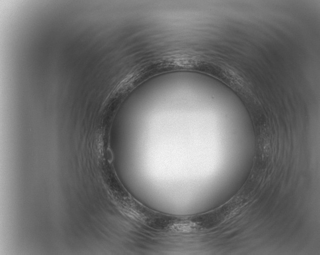 X0000058120595200510071941