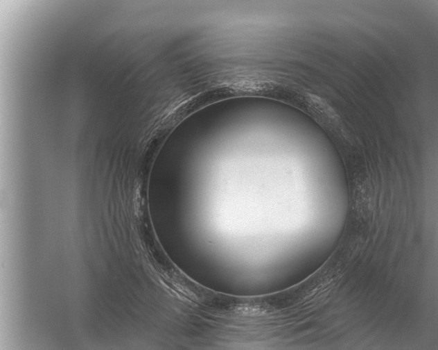 X0000058120596200510071941