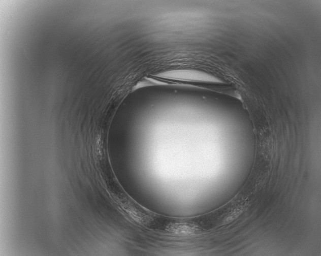 X0000058120597200510071941