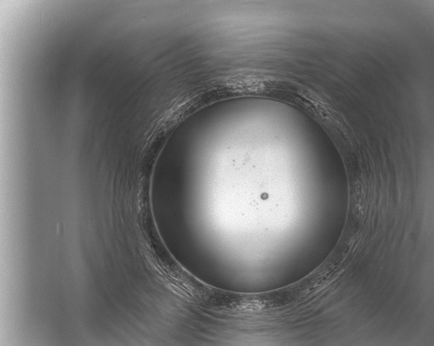 X0000058120600200510071941