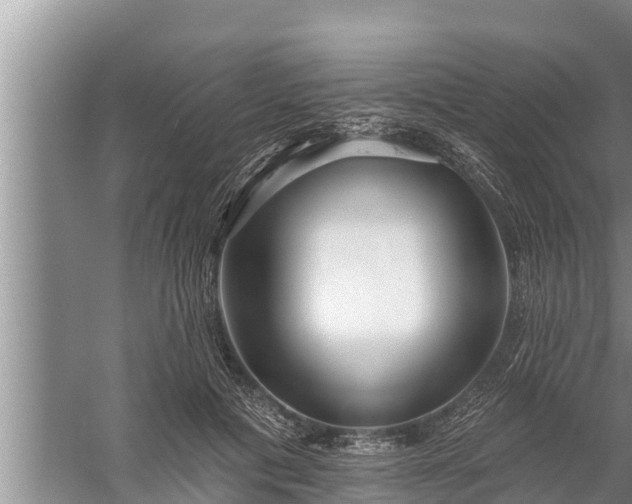 X0000058120601200510071941