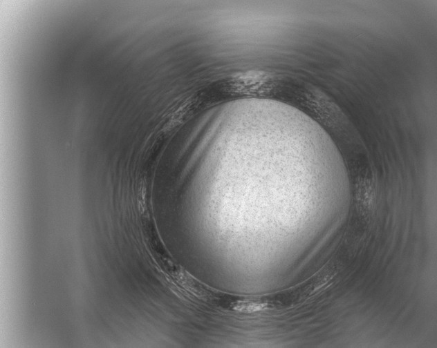 X0000058120602200510071941