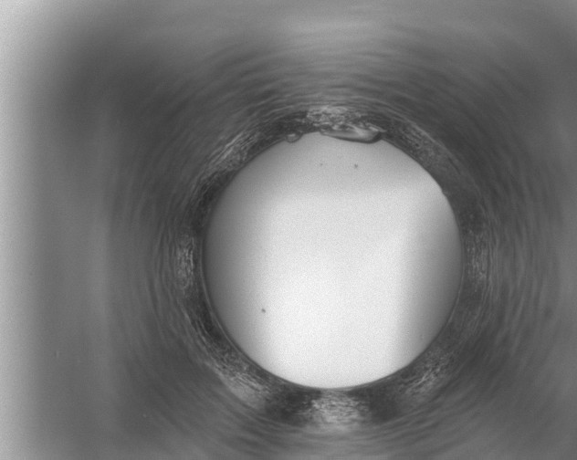 X0000058120603200510071941