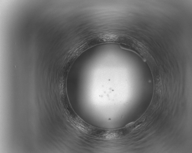 X0000058120604200510071941