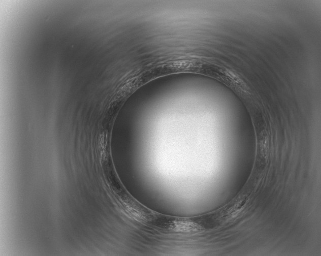 X0000058120605200510071941