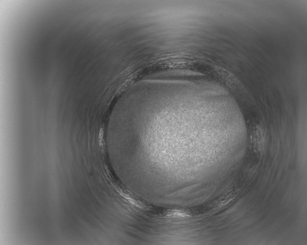 X0000058120610200510071941