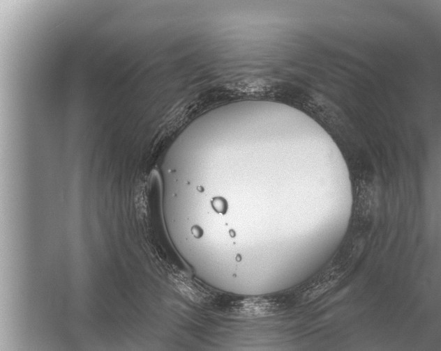 X0000058120612200510071941