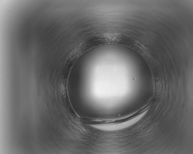 X0000058120613200510071941