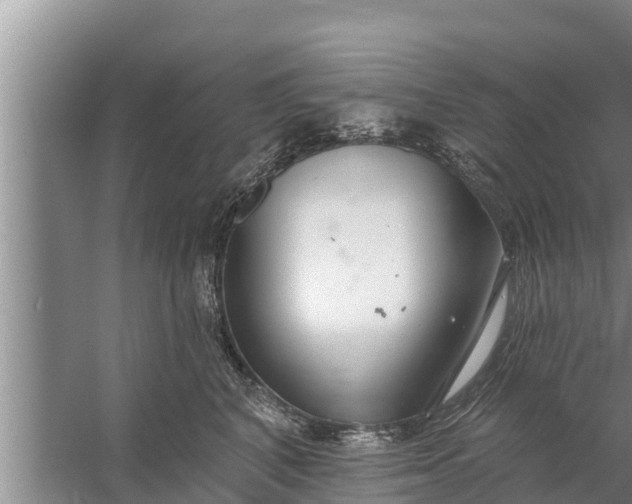 X0000058120616200510071941