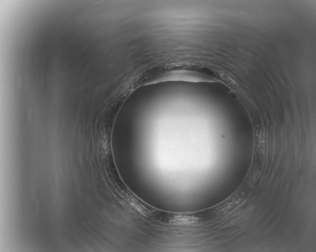 X0000058120617200510071941