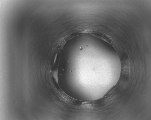 X0000058120620200510071941