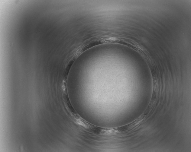 X0000058120621200510071941