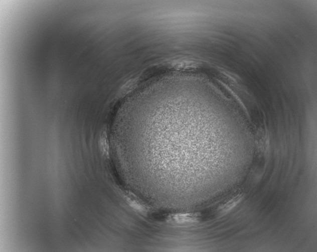 X0000058120622200510071941