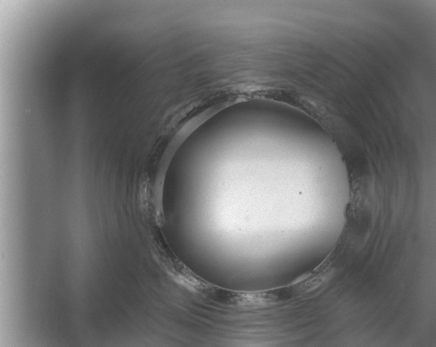 X0000058120623200510071941