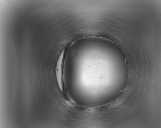 X0000058120624200510071941