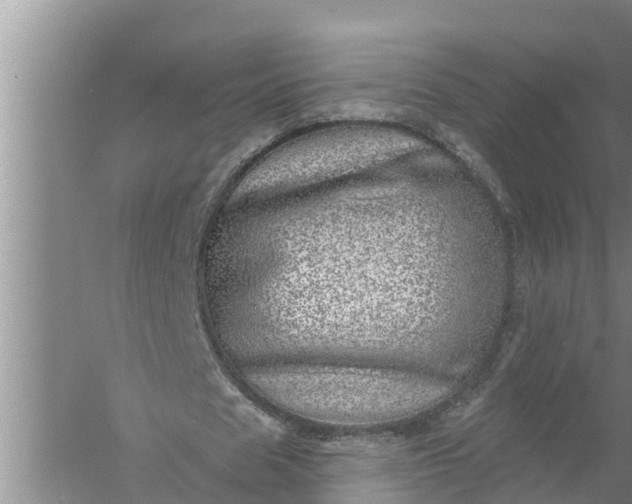 X0000058120625200510071940