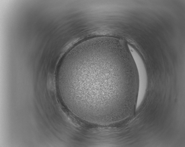 X0000058120626200510071940